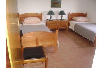 Kroatija Privát Žut, Eksterjeras